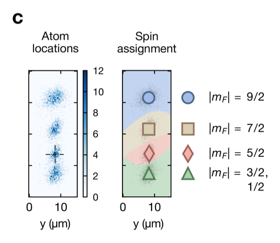 Spin-resolved microscopy of SU(N) fermions