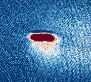 First atoms in the reservoir dipole trap