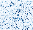 First individual atoms imaged in free space